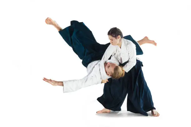 What Is A Shihan In Aikido?