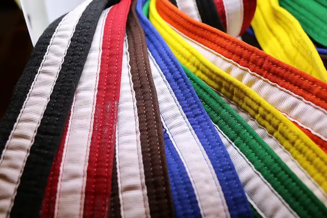 What Are The Levels Of Karate Belts?