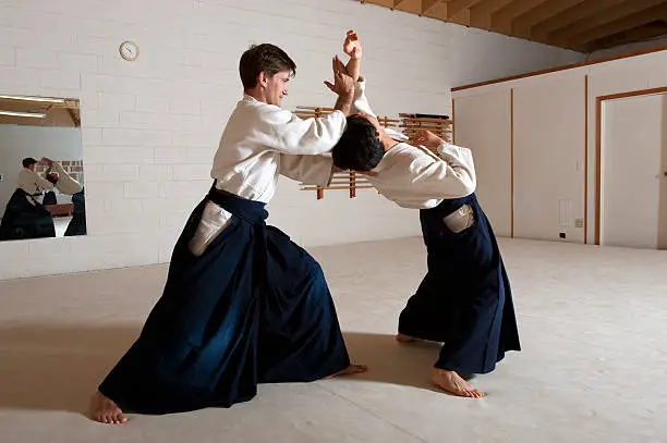 What Is Aikido Tori?
