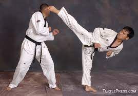 How To Improve Your Taekwondo Jumping Reverse Kick Techniques