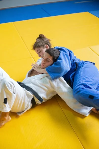 What Is Budokan In Judo?