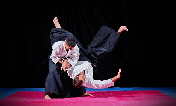 What Is Yoshinkan Aikido?