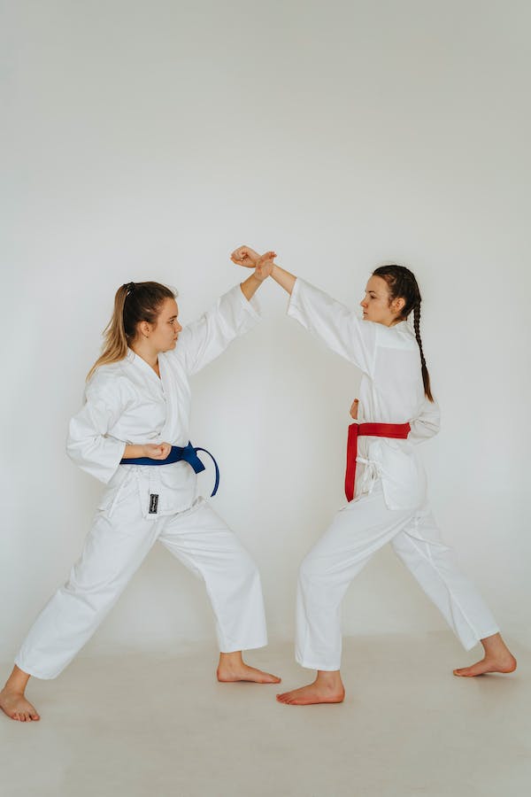 What Are The Different Karate Joint Locks?