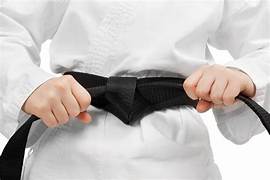 Different Taekwondo Training Equipments