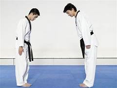 Can Taekwondo Help With Posture Improvement?
